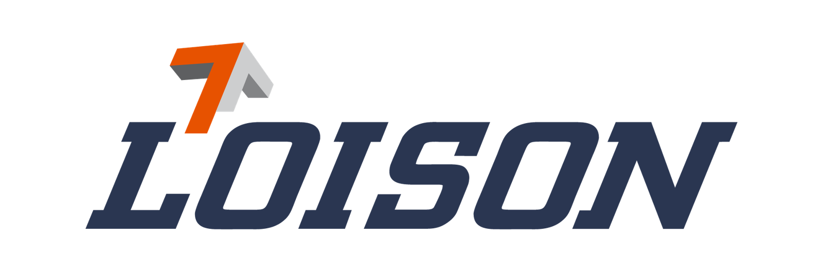 logo loison 2027 01 sansbase