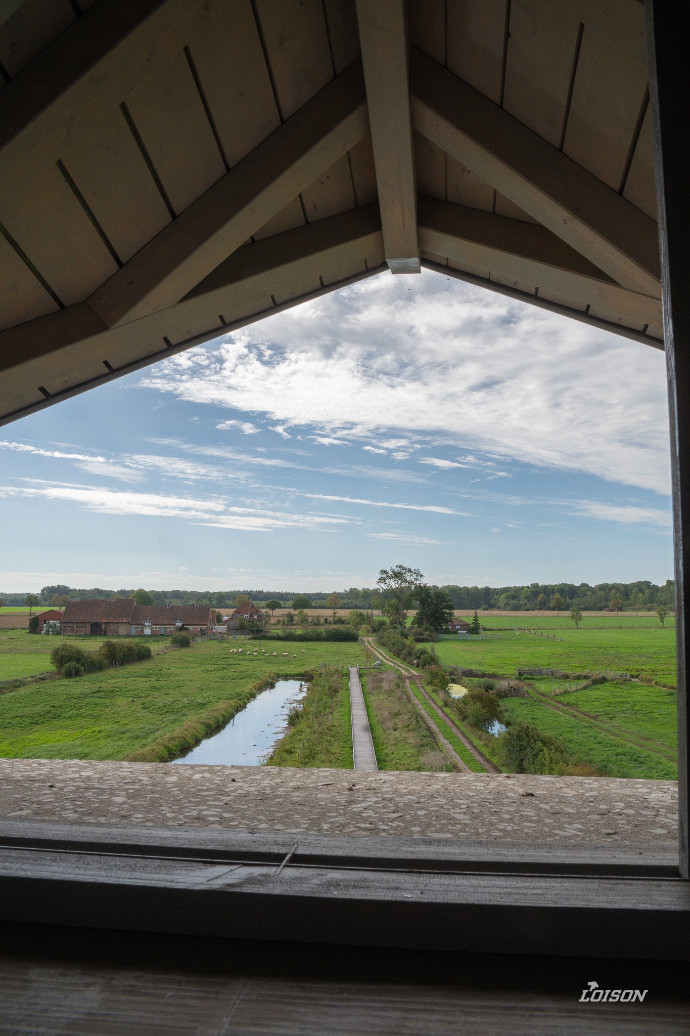 Le Moulin du Zuidbrouck - Clairmarais Vue sur le marais audomarois depuis le belvédère, sous la charpente